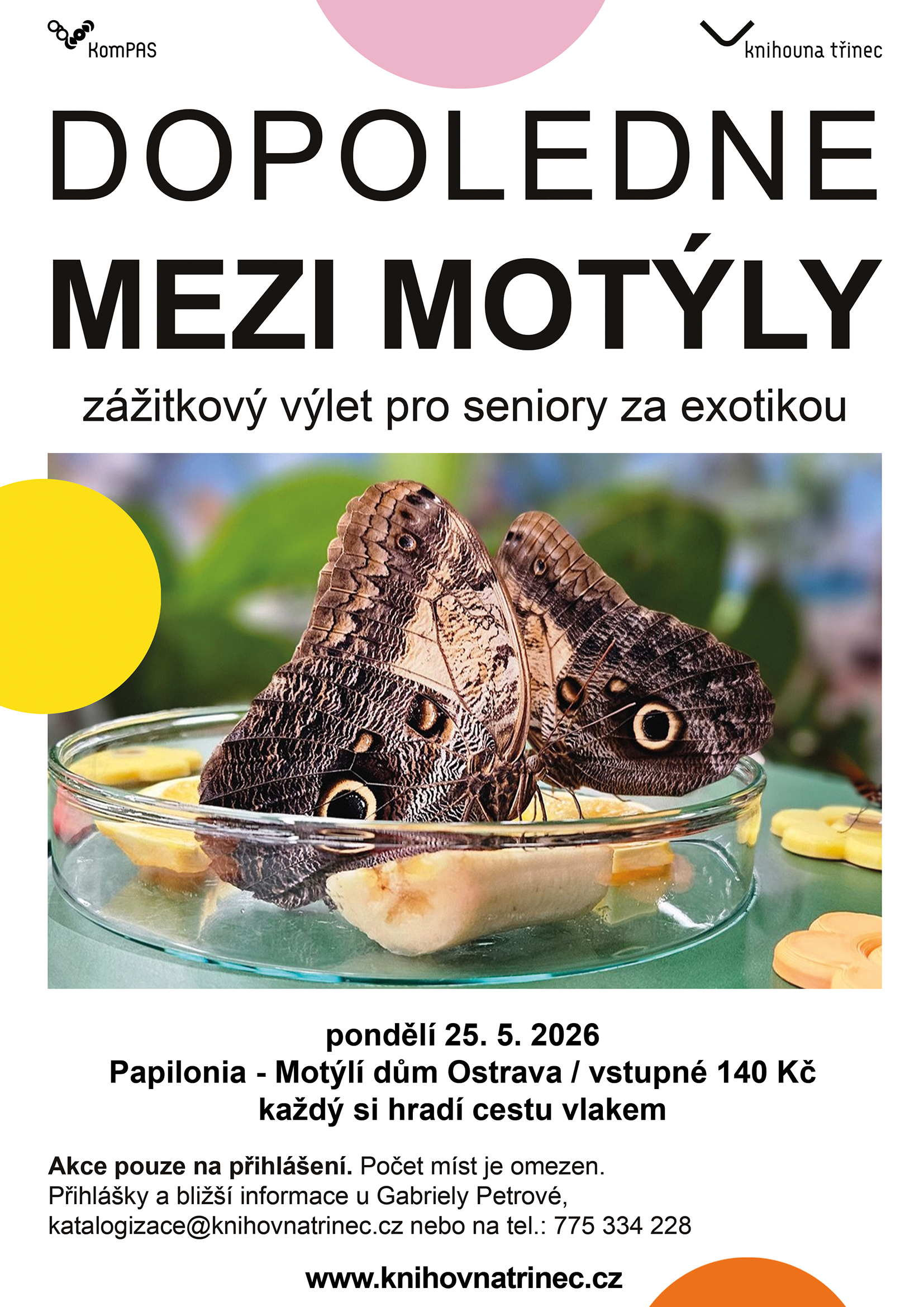 Dopoledne mezi motýli 2026 WEB